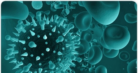 Nhiễm virus hợp bào hô hấp - Hình ảnh minh họa